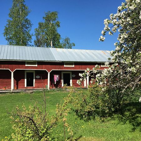 Ollilan Tupa Joensuun Laehellae Bed and Breakfast Ylämylly Exteriör bild