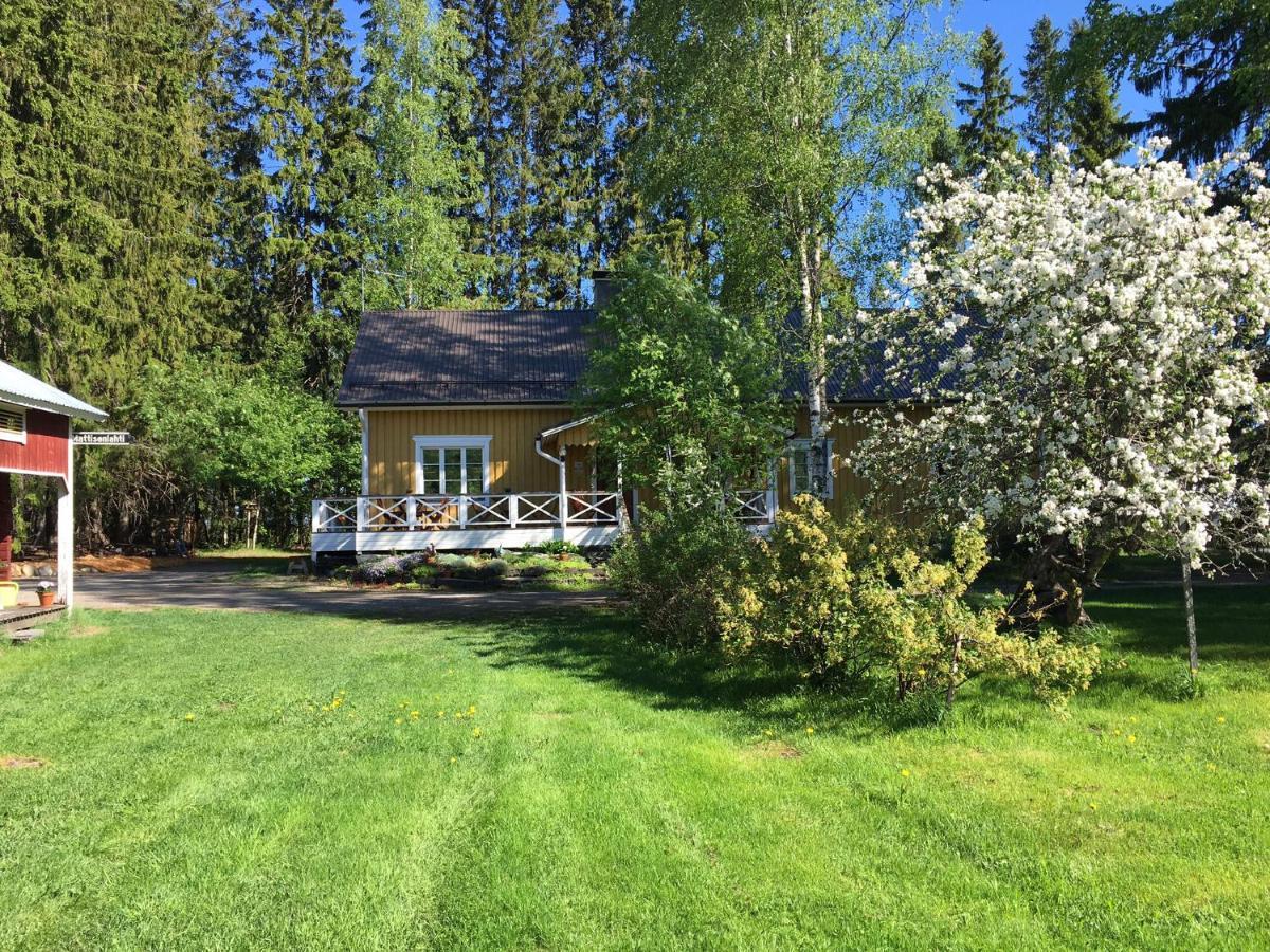 Ollilan Tupa Joensuun Laehellae Bed and Breakfast Ylämylly Exteriör bild