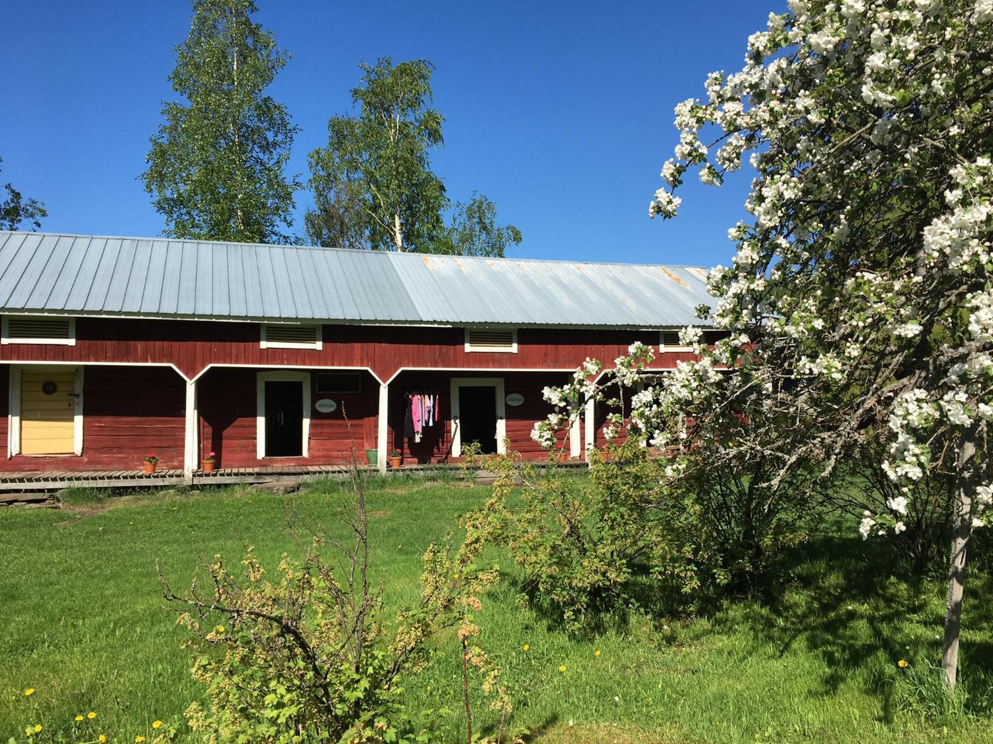Ollilan Tupa Joensuun Laehellae Bed and Breakfast Ylämylly Exteriör bild